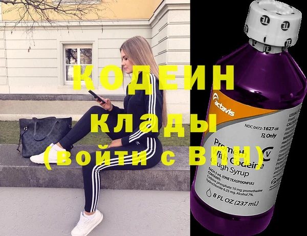 шишки Шадринск