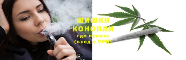 спиды Шали