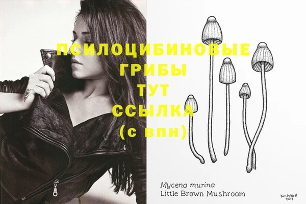 марки nbome Зерноград