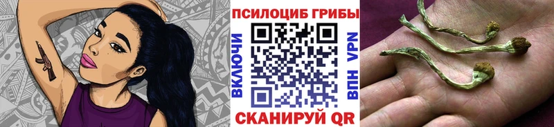 Галлюциногенные грибы GOLDEN TEACHER  купить наркоту  Самара 