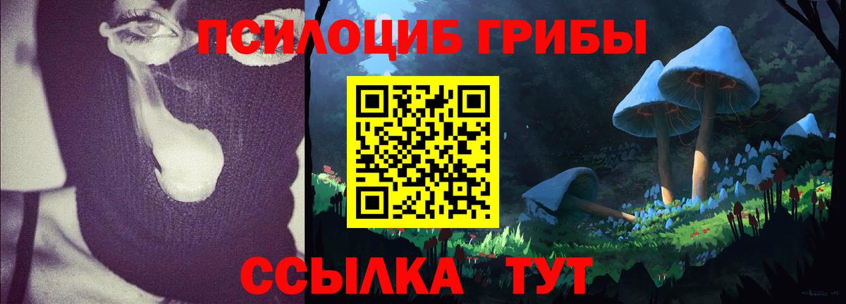 Псилоцибиновые грибы Psilocybe  Галлюциногенные грибы MAGIC MUSHROOMS  Самара  Вход с VPN 